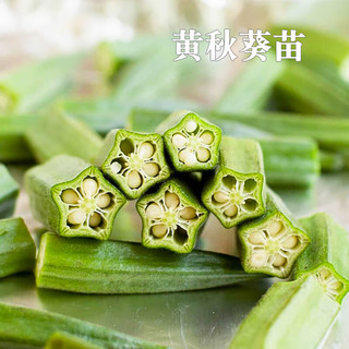 种菜记 蔬菜苗大全草莓苗番茄苗辣椒苗西瓜苗四季南方水果阳台盆栽苗秧 黄秋葵苗6棵