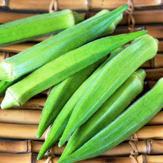 种菜记 蔬菜苗大全草莓苗番茄苗辣椒苗西瓜苗四季南方水果阳台盆栽苗秧 黄秋葵苗6棵