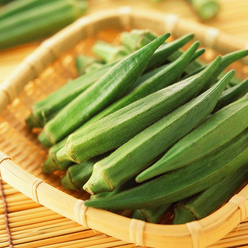 种菜记 蔬菜苗大全草莓苗番茄苗辣椒苗西瓜苗四季南方水果阳台盆栽苗秧 黄秋葵苗6棵