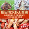 龙虾尾冷冻鲜活生鲜小龙虾特级大虾尾