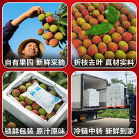 京鲜生 4月1日起发货！空运海南桂花香荔枝 净重2斤礼盒装