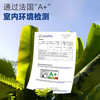 德高（Davco）瓷砖胶瓷砖粘合剂 玻化砖粘结剂粘合剂 强力贴砖瓷砖胶20KG/包 大理石醇白瓷砖胶*1包