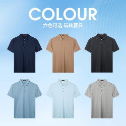 才子 男士短袖T恤桑蚕丝满印Polo衫透气不闷热弹力修身男上衣打底衫 蓝色 2XL 52