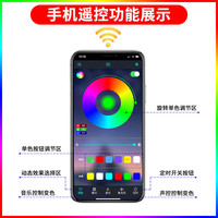 蓝天 LED灯带彩色灯带控制器+遥控 整套LED灯带