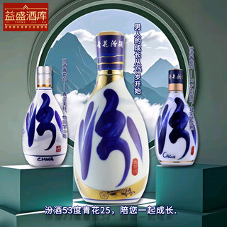 汾酒 青花25 清香型白酒 53度 500ml 单瓶装