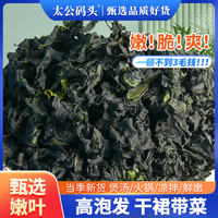 裙带菜干货无沙免洗特干级海带紫菜儿童低脂肪火锅食材泡即食