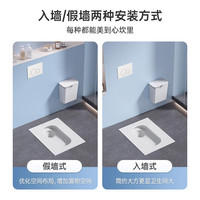 恒洁（HEGII）隐藏式水箱蹲便器家用暗装嵌入式冲水箱蹲坑蹲厕蹲便池大便器套装 HC6028PA暗装水箱-电镀银面板