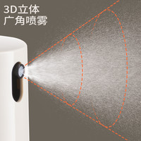SOWE素味玻璃喷油壶瓶油空气炸锅厨房家用喷雾化油罐食用不挂油