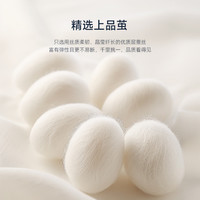 TeenieWeenie100%柞蚕丝被夏被空调被小熊绣花A类夏凉被薄款被子