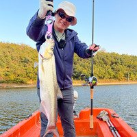 DMX 悟翘远投路亚竿富士SIC富士轮座2.44米5-28g翘嘴鱤鱼海鲈鱼