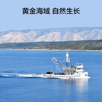 京东京造大连冷冻  固形物不低于70% 辽刺参