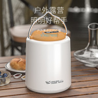 微笑鲨 SMILING SHARK 氛围灯串灯房间布置彩灯户外露营灯野营天幕帐篷庭院装饰照明灯 8223B氛围灯【2400mAh】