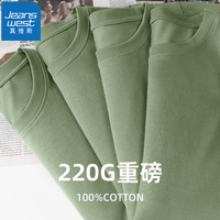 JEANSWEST/真维斯 纯棉 男士短袖T恤