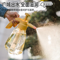喷壶浇花家用压力洒水壶喷雾器浇水清洁气压式喷水壶养花小瓶