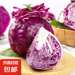 京喜 寿光 国产紫甘蓝卷心菜 5斤 新鲜农家菜