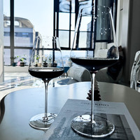 LANGNA 万用杯红酒杯波尔多水晶玻璃轻奢高档家用套装葡萄酒杯高级醒酒器