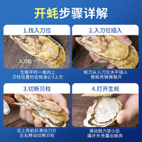 永鲜悦【黑标甄选】乳山生蚝鲜活特大贝类牡蛎火锅烧烤食材带箱5-10斤 【精品】6XL/带箱5斤(约6-7只)