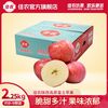 佳农 陕西高原苹果 净重4.5斤 (果径85mm) 脆甜多汁新鲜水果新季节苹果