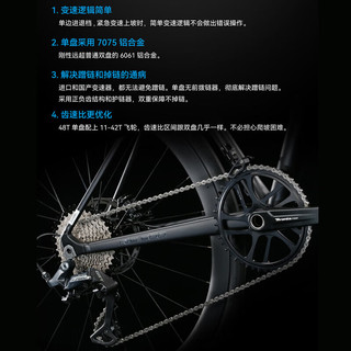 喜德盛（xds）喜德盛rs500喜德盛公路车喜德盛公路自行车喜德盛自行车公路车 墨石灰（铝轮） 700Cx510mm|身高175-185cm