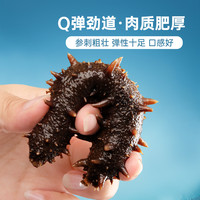 长辽大连即食海参辽刺参开袋即食底播刺参精品 3斤