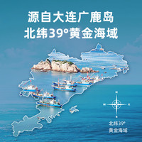 长辽大连即食海参辽刺参开袋即食底播刺参精品 2斤