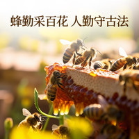 同仁堂 Tongrentang Chinese Medicine品牌 蜂蜜-420g蜂蜜 天然滋补蜂蜜柚子茶纯正蜂蜜便携挤压小瓶