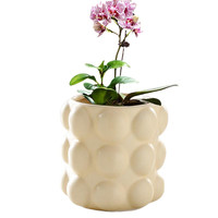 花盆陶瓷家用塑料小花盆轻奢高级感兰花蝴蝶兰花盆多肉花盆 无规格