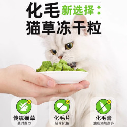 HELLOJOY 鸡肉冻干猫草粒 猫零食猫咪化毛球膏吐毛球猫薄荷60克 60g
