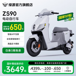 绿源 S90 电动车 TDR24074Z 48V30Ah