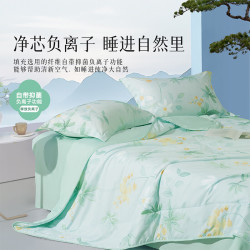 百丽丝 家纺夏被a类面料茶氨酸抑菌夏被单人夏季被子空调被芯 茶茶抑菌夏被 150cm*200cm