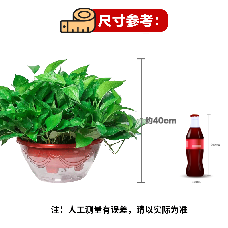 双盟绿萝盆栽除甲醛花卉绿植办公室新房净化空气360自吸盆1盆源头直发