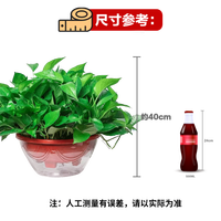 双盟绿萝盆栽除甲醛花卉绿植办公室新房净化空气360自吸盆1盆源头直发