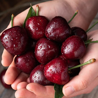 橙市码头车厘子 大连美早大樱桃【多地次日达】巨无霸果可选礼盒送礼 750g(净重) 巨无霸JJJ 10-12g