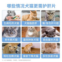 朗博特猫咪护肝片狗狗保肝宠物黄疸腹水肝脏受损猫