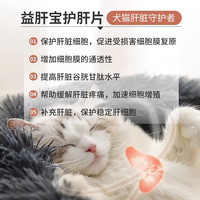 朗博特猫咪护肝片狗狗保肝宠物黄疸腹水肝脏受损猫