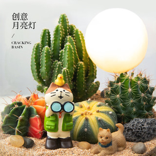 仙人掌微景观盆栽沙漠山丘趣味摆件植物盆景多肉花卉桌面绿植 含盆