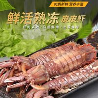 安峰山皮皮虾鲜活新鲜熟冷冻 海鲜濑尿虾特大号母虾 特大公皮皮虾每只12-16cm 1斤