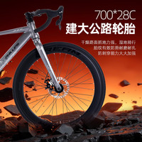 菲利普自行车全内走线水滴破风公路车成人男女城市竞速赛车变速单车 直把-蓝色 700C 24速入门版