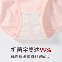 芬腾女士内裤夏季薄款纯棉透气短裤头中腰提臀全棉抗菌内裆三角裤 常规纯棉款丨糖果色【5A抗菌裆】 XXL
