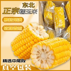 鲜合汇优 京榴香正宗东北玉米 新鲜蔬菜代餐生 家庭实惠整箱10-8个装