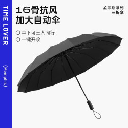 时光情人 TIME & LOVER TIMELOVER16 16骨全自动雨伞 午夜黑 130cm
