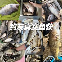 创威神龙鲤二代鲢鳙鱼竿综合竿轻量大物竿渔具台钓竿超轻钓鱼竿手竿 3.6m 【二代升级 暴力狂拉】