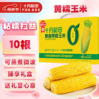 十月稻田 黄糯玉米 2.2kg 220g*10根