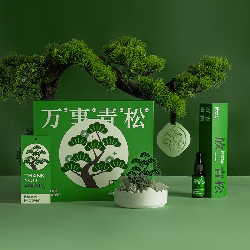  SHANPO/姗珀 高级香氛 香薰晶石扩香石礼盒+手提袋  空山新雨