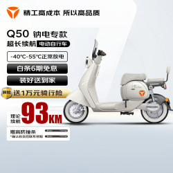 雅迪 冠能六代Q50-H钠电电动自行车 93km长续航智能TCS防滑电动车 成人男女通勤电瓶车 曼城金