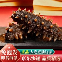 鲜拔头筹 大连即食海参 500g 5-6cm/只 2斤