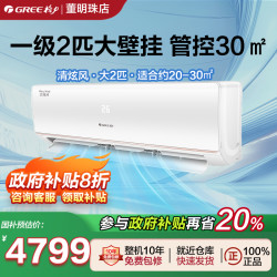 格力 GREE 空调官方正品一级变频2匹家用空调大挂机冷暖两用清炫风
