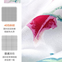 富安娜 FUANNA 枕套纯棉升级抗菌枕头套 家用一对装 74*48cm 