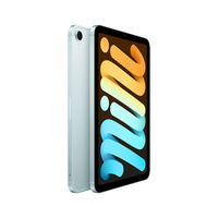 百亿补贴：苹果 Apple iPad MINI7 蜂窝版8.3英寸平板电脑 2024年新款 256GB