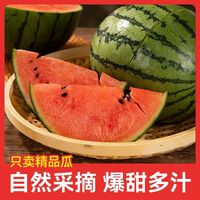 【商超品质】潍坊2K手撕小糖丸西瓜3/5/7斤彩箱新鲜1.6斤起水果